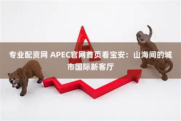 专业配资网 APEC官网首页看宝安：山海间的城市国际新客厅